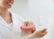 dentist explaining a dental implant